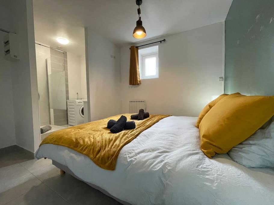 Spacieux - - 4p - Centre - Iut Apartment